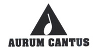 Ремонт акустики Aurum Cantus Ремонт акустики Aurum Cantus