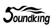 Ремонт акустики Soundking Ремонт акустики Soundking
