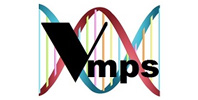 Ремонт акустики VMPS Ремонт акустики VMPS