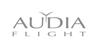 Ремонт ресиверов Audia Flight Ремонт ресиверов Audia Flight