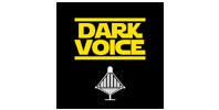 Ремонт ресиверов DARKVOICE Ремонт ресиверов DARKVOICE