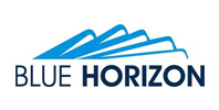 Ремонт усилителей Blue Horizon