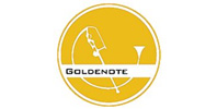 Ремонт усилителей Goldenote
